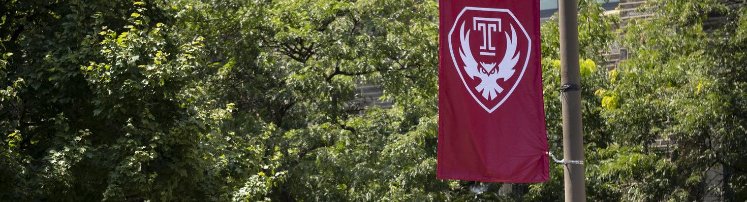 Temple's new Owl Mark dispalyed on a flag on campus.
